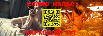крисы Краснознаменск