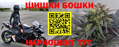 крисы Краснознаменск