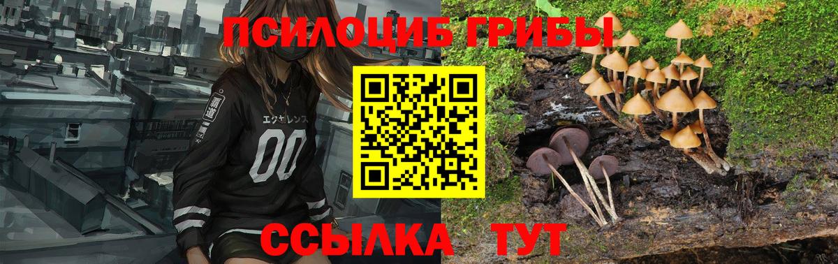 Королёв  Галлюциногенные грибы MAGIC MUSHROOMS  Вход с VPN 