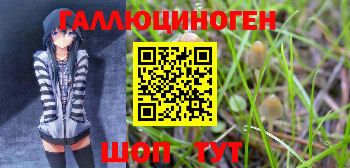 Псилоцибиновые грибы Psilocybe Королёв