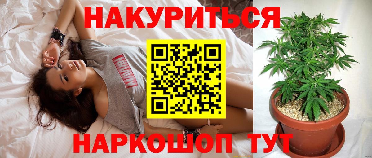 Бошки Шишки Amnesia Королёв