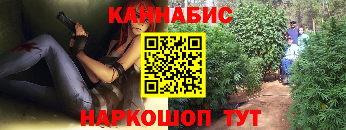 Бошки марихуана MAZAR  Конопля гибрид  Королёв  Вход с VPN  Канабис сатива 